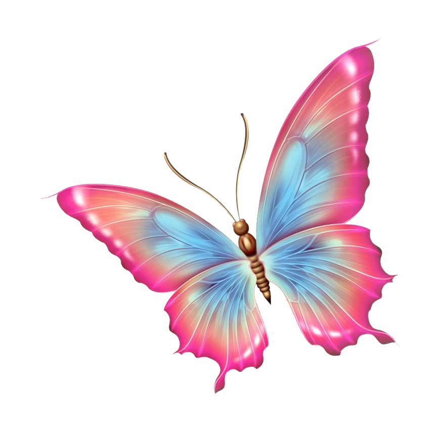 Imagen Transparente de mariposa rosa