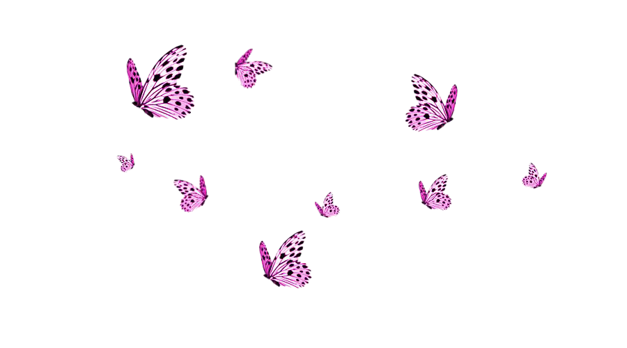 Imágenes Transparentes de mariposa rosa
