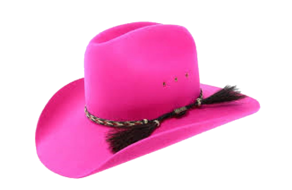 Chapéu de cowboy rosa download imagem transparente PNG