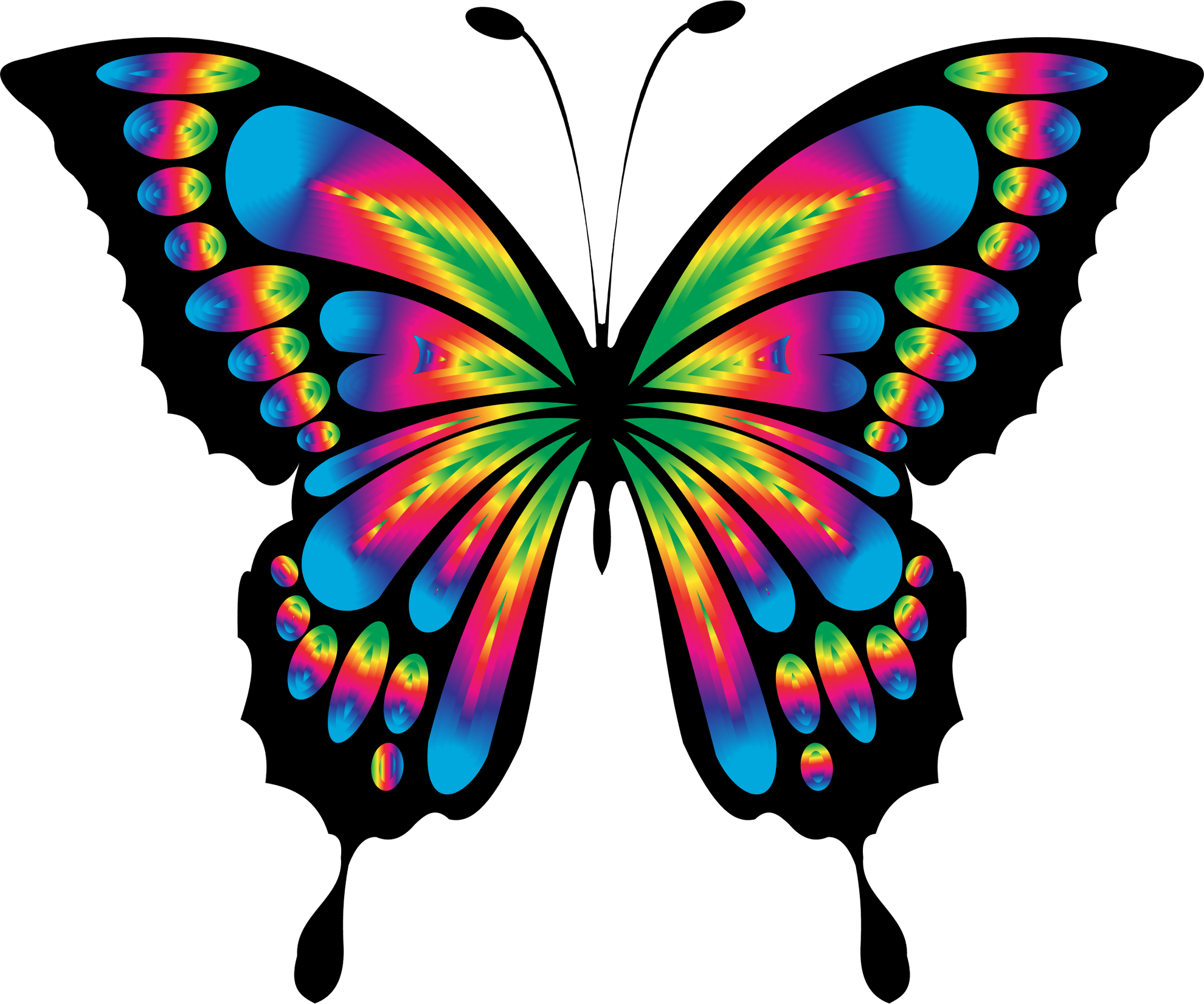 Free Free 76 Butterfly Rainbow Svg SVG PNG EPS DXF File