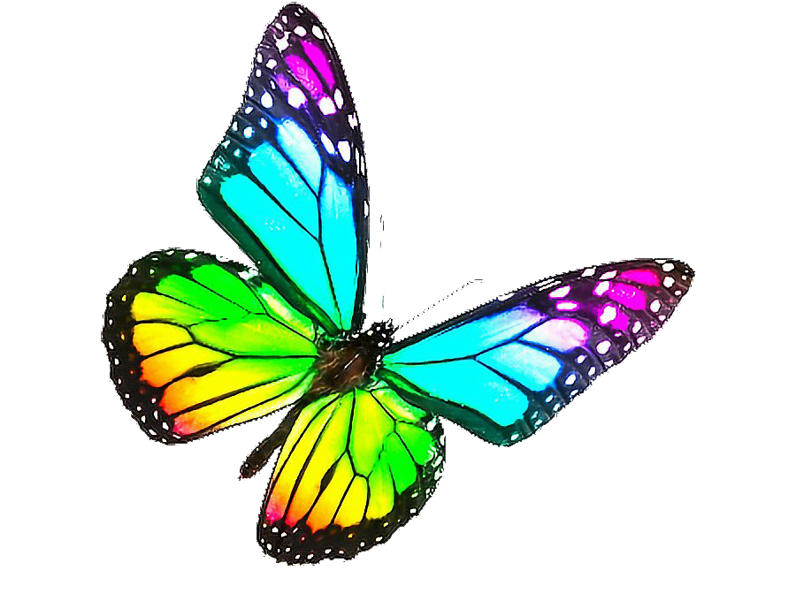 Rainbow Butterfly Png Free Download Png Arts | Images and Photos finder