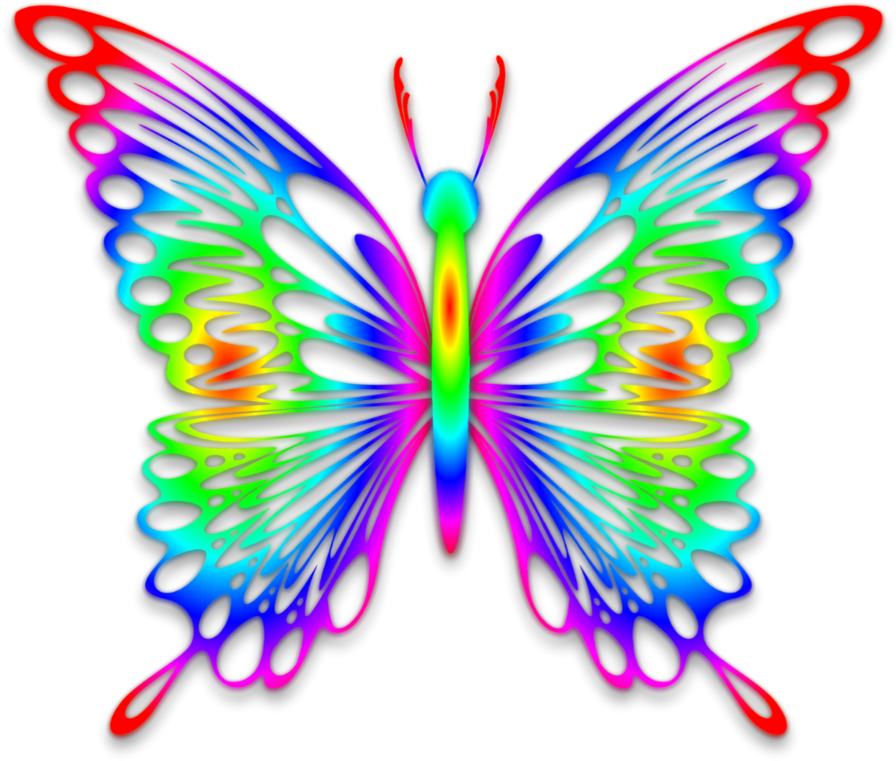 Радужная бабочка. Радужные бабочки. Бабочка Радуга. Яркие бабочки на прозрачном фоне. Бабочки красивые цветные.