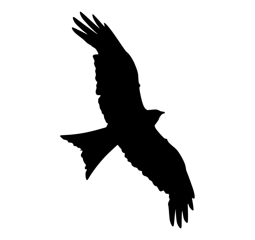 Silhouette Flying Falcon PNG Image Background