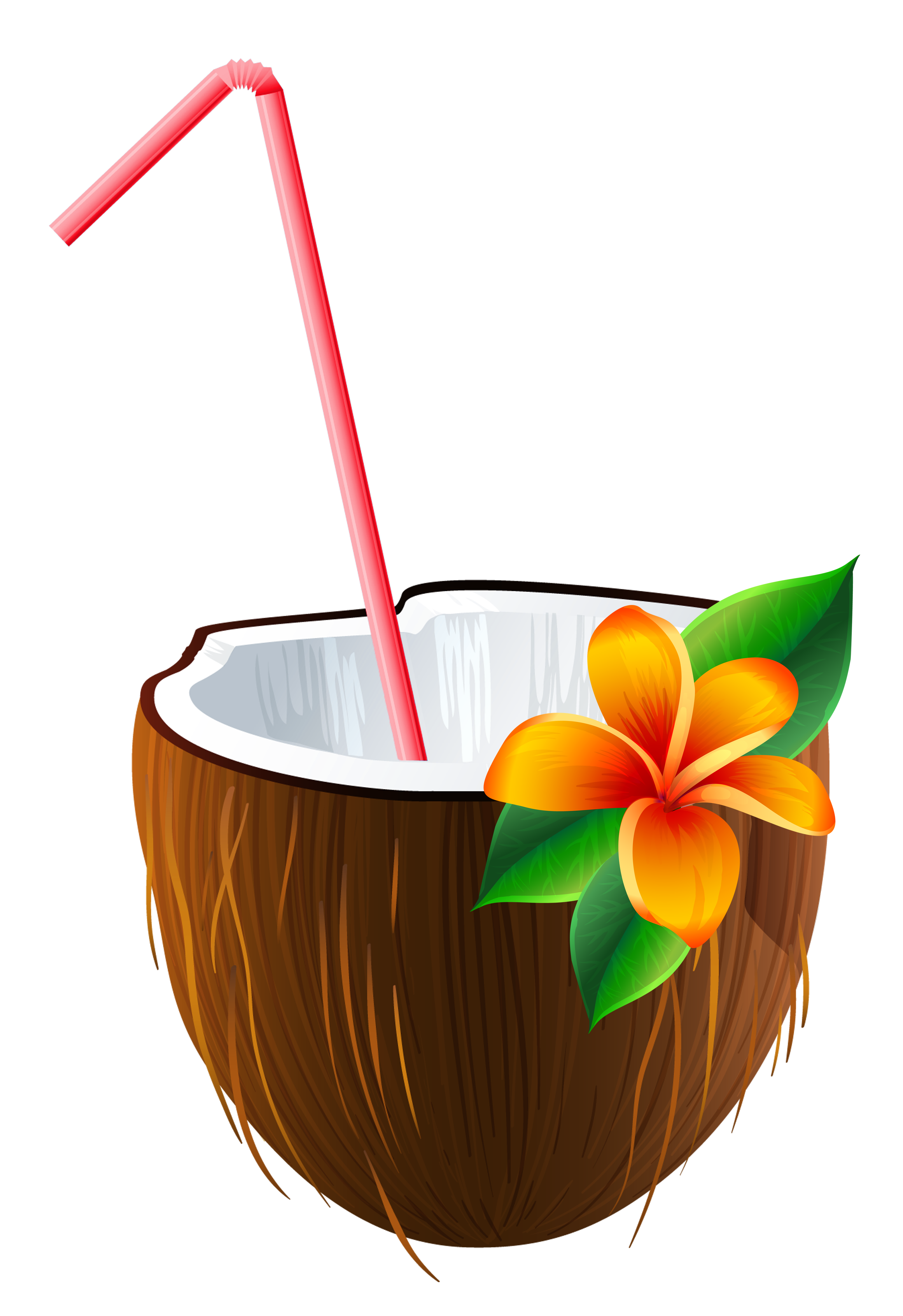 Imagem de PNG livre de coconut de verão