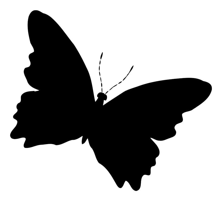 Vector Black Butterfly PNG Image