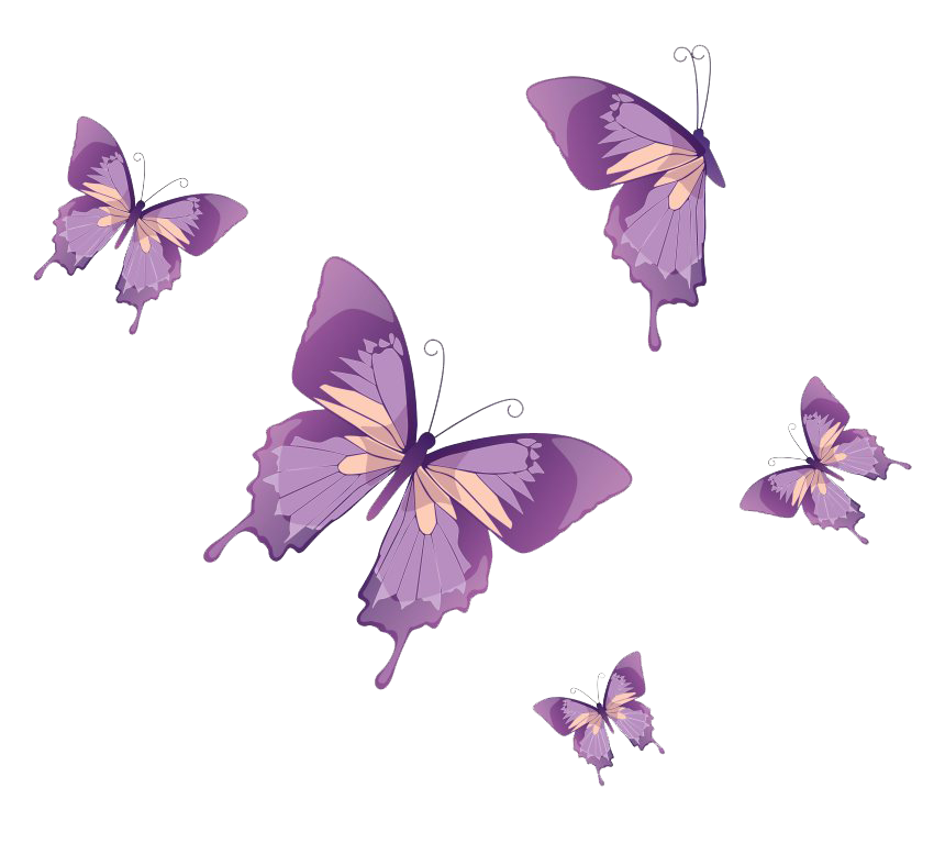 Vector Butterfly Transparent Image | PNG Arts