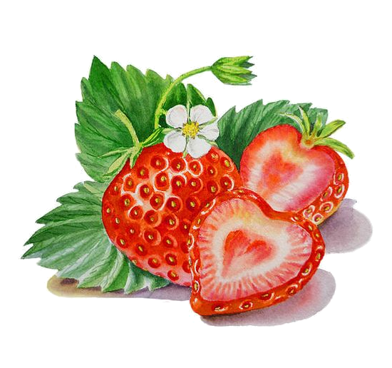 Aquarelle Strawberry PNG image Transparente