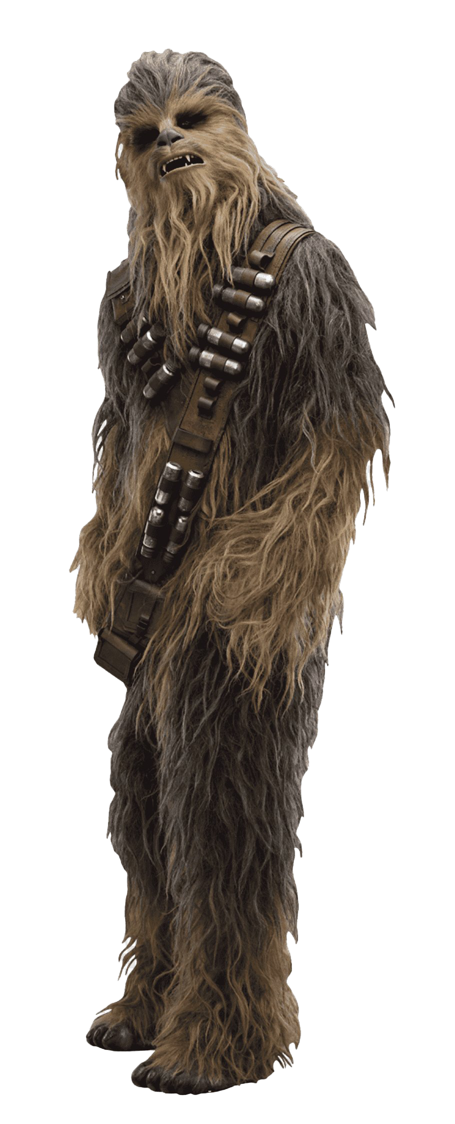 Chewbacca Gambar PNG Gratis