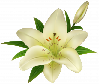 Direct Download Easter Lilies PNG Pic PNG Arts