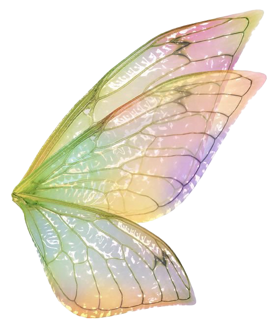 Fairy Wings ดาวน์โหลด PNG Image
