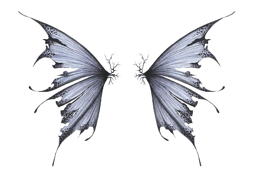 Fairy Wings ดาวน์โหลดภาพ PNG โปร่งใส