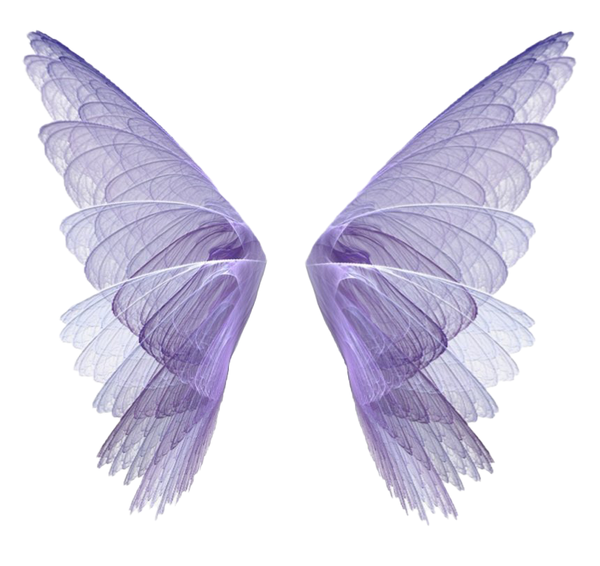 Fairy Wings PNG ภาพพื้นหลังโปร่งใส