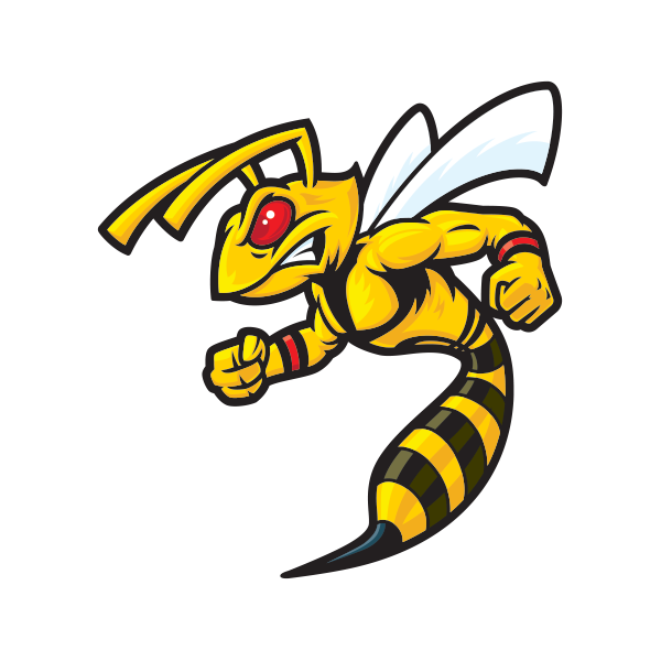 Flying Wasp PNG Image Background