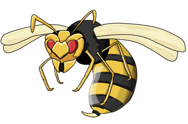 Flying Wasp Transparent Image