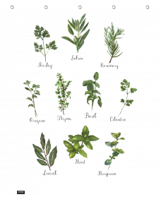 Herbs PNG Free Download | PNG Arts