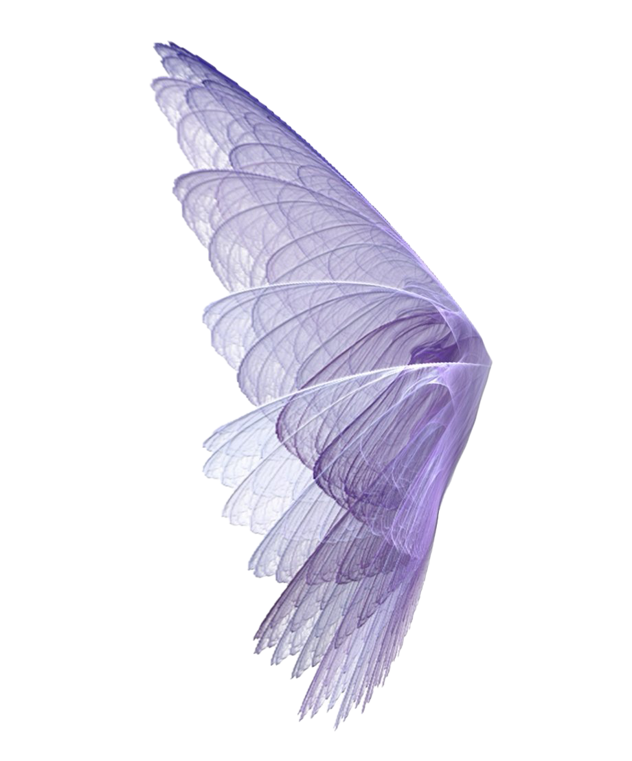 Immagine realistica delle ali delle fate PNG