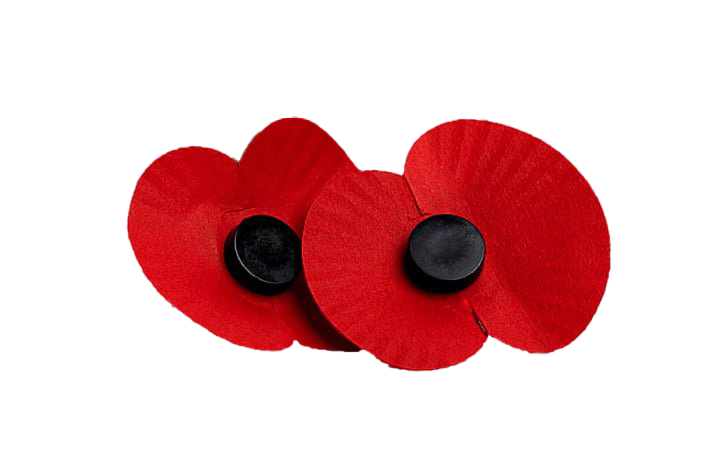 Remembrance Day Poppy Flower PNG Pic