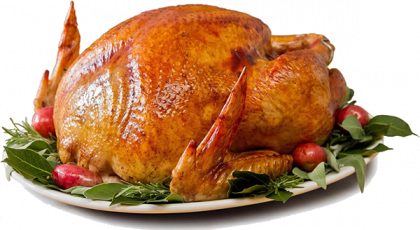 Thanksgiving Turkey Free PNG Image | PNG Arts