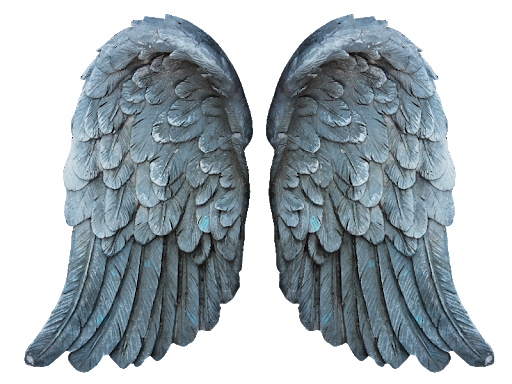 Angel Wings Download Transparent PNG-Afbeelding