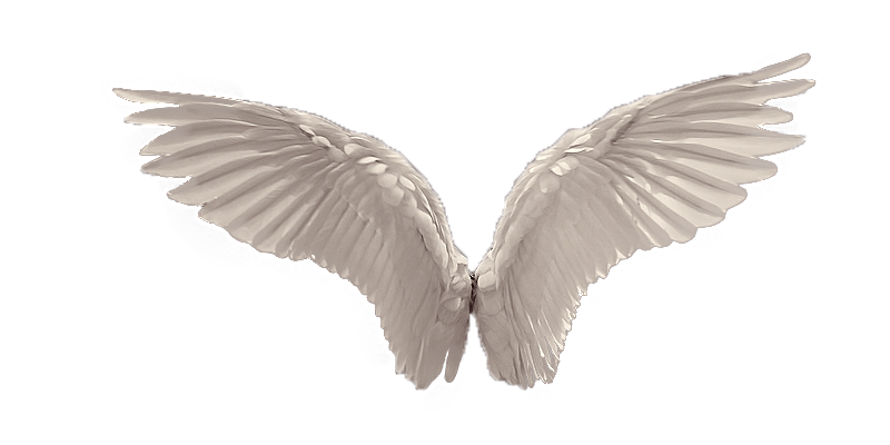 Angel Wings Gratis PNG-Afbeelding
