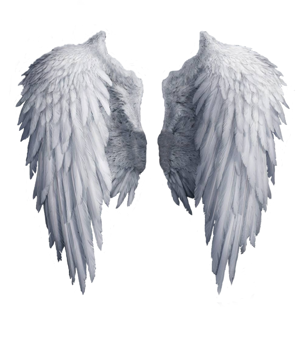 Angel Wings PNG ภาพพื้นหลังโปร่งใส