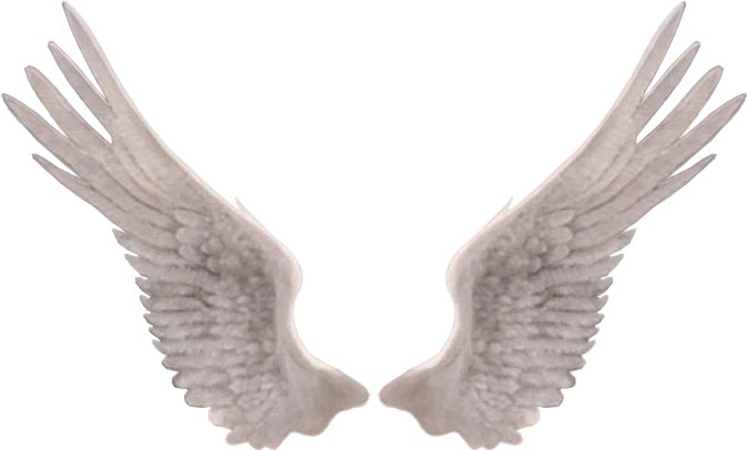 Angel Wings PNG Photo