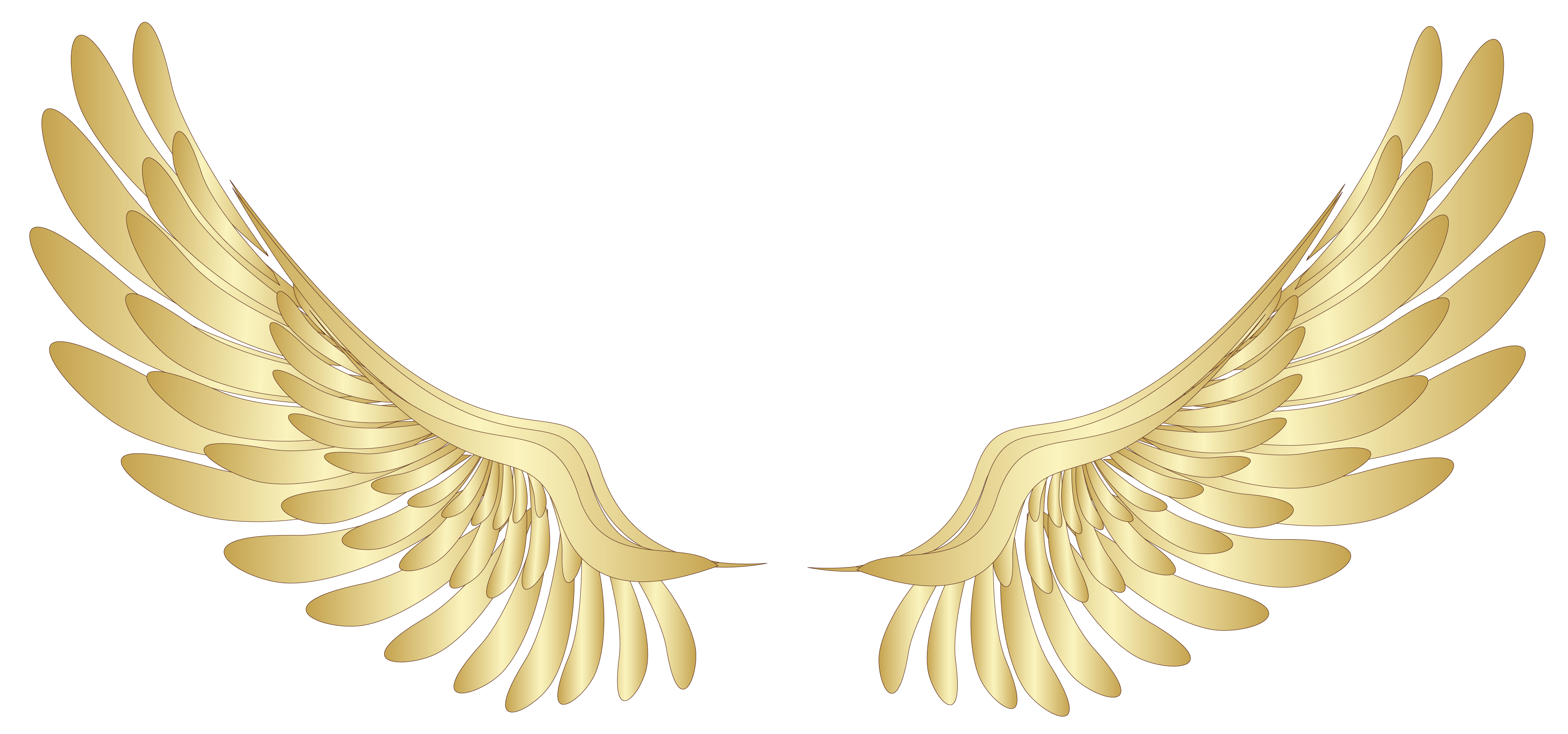 Immagine Trasparente delle ali di angelo