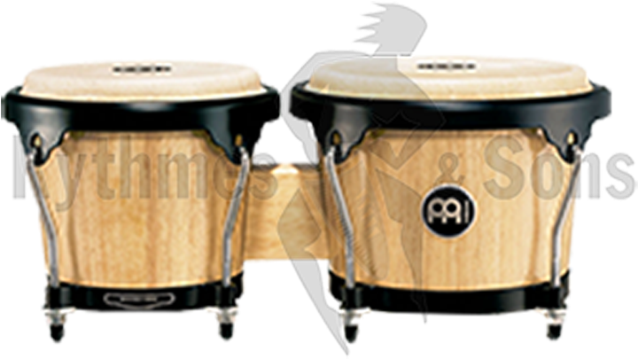 Bongo Drum ภาพ PNG ฟรี