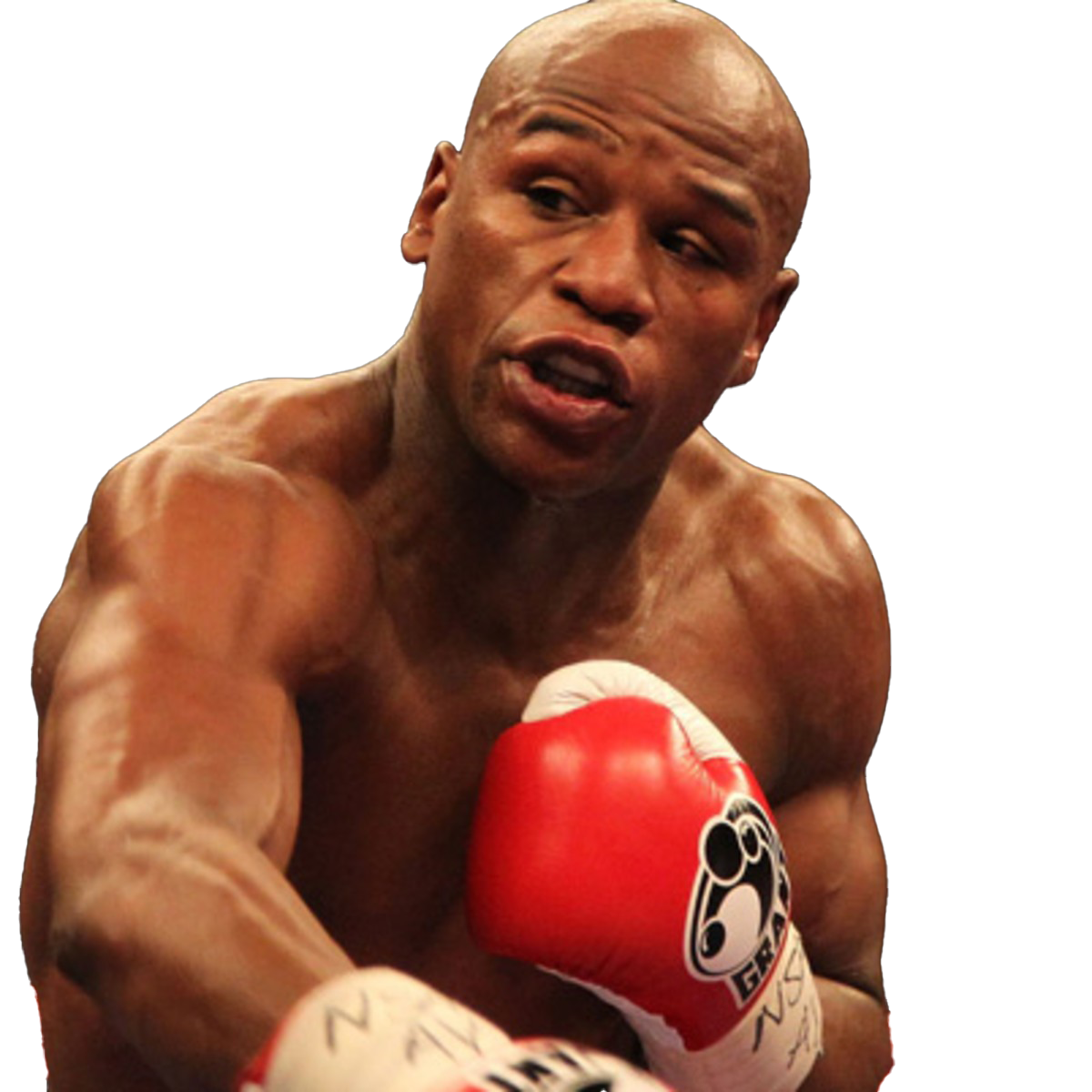 Boxer Floyd Mayweather gratis immagine PNG