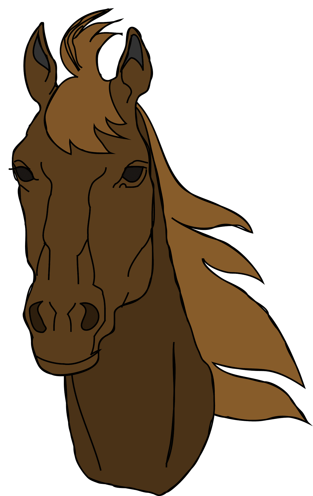 Cavalo Brown Download PNG Image