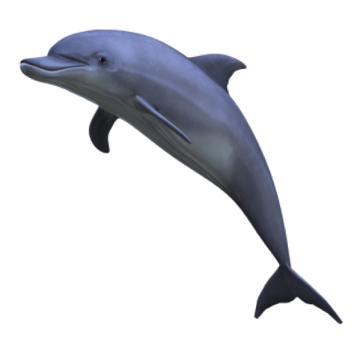 Симпатичные прыжки дельфин PNG фоновое изображение