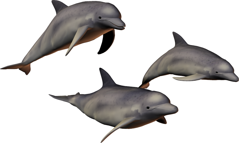 Симпатичные прыжки дельфин PNG Image