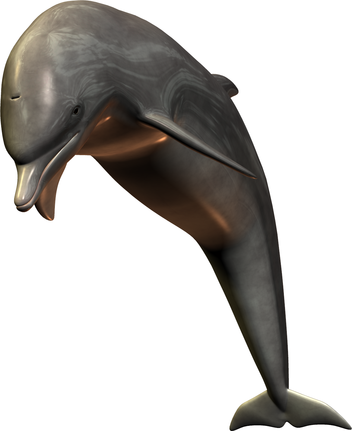 Милый прыжки дельфина прозрачный фон PNG