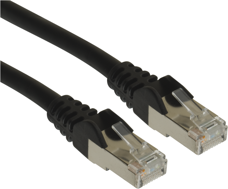 Ethernet-Kabelkabel Transparentes Bild