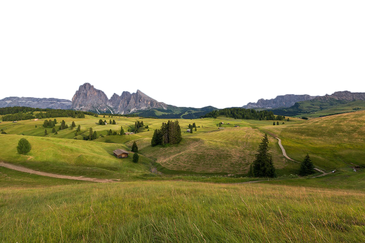 Зелень пейзаж PNG фоновое изображение