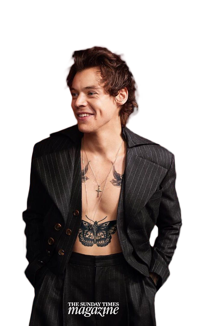 Harry styles PNG image fond Transparent