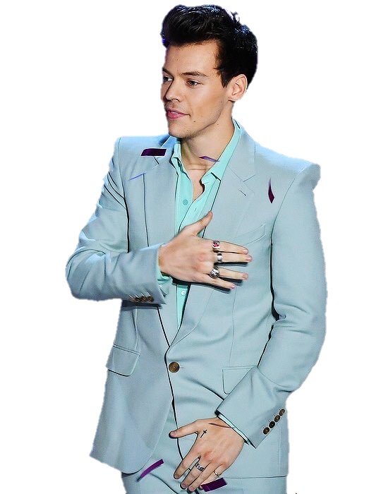 Harry Styles PNG image Transparente