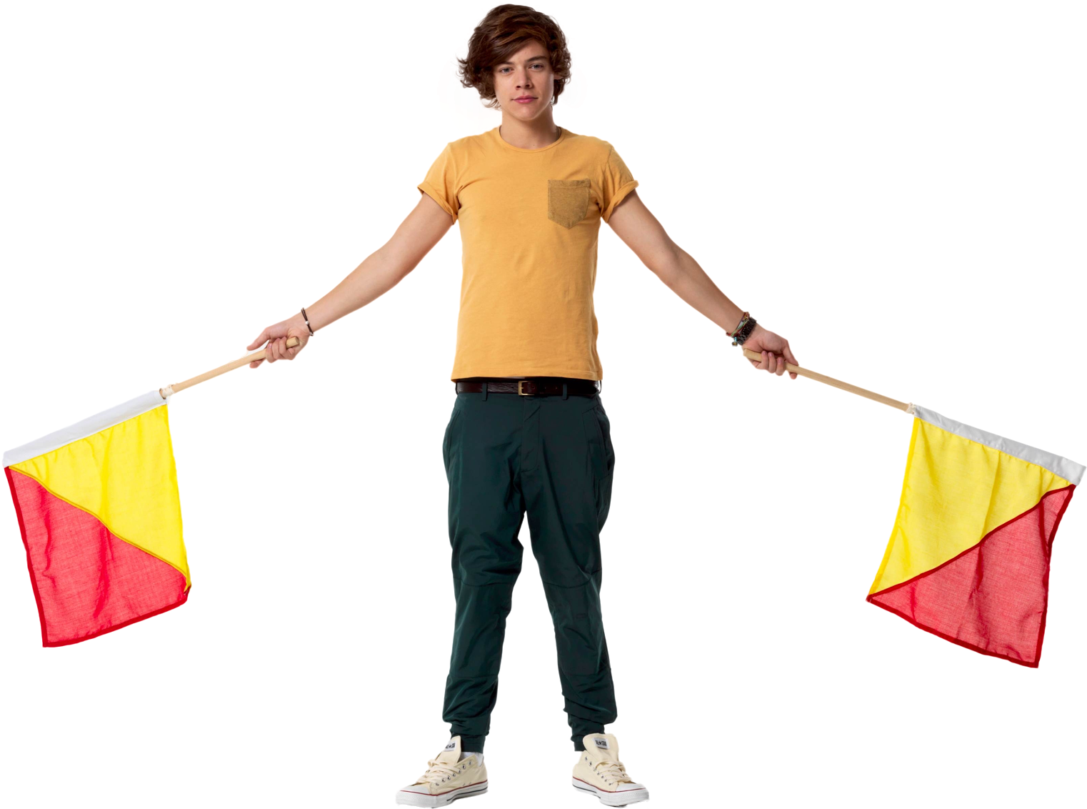 Styles Harry Photo PNG