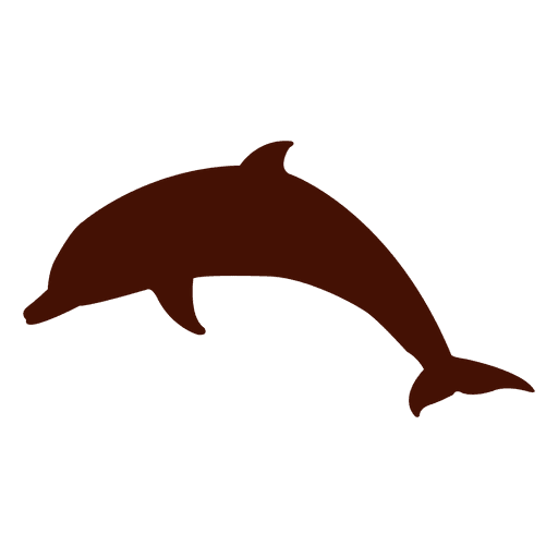 Jumping Dolphin PNG Image Transparent Background