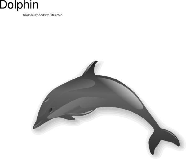 Прыжки Dolphin PNG Image
