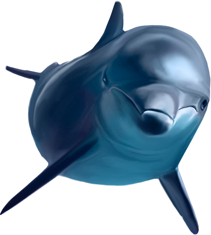 Прыжки дельфина PNG картина