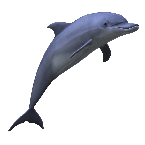 Прыжки дельфинов прозрачные изображения