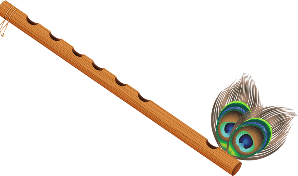 Imagem transparente da flauta da pena do pavão PNG