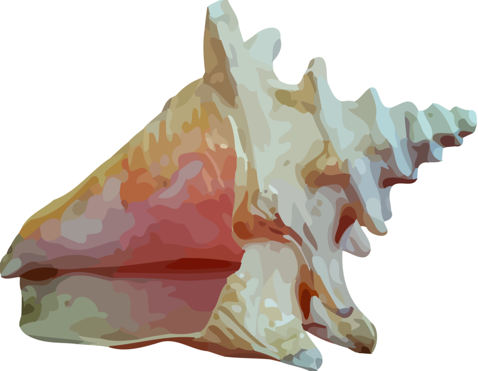 Sea Conch Snail Shell PNG Immagine di alta qualità