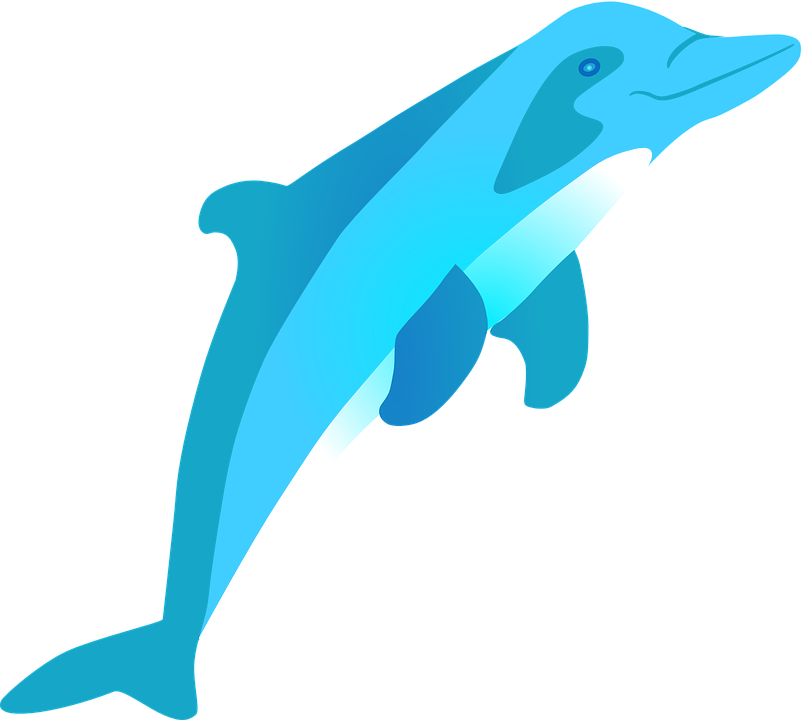 Векторный скачок Dolphin бесплатно PNG Image