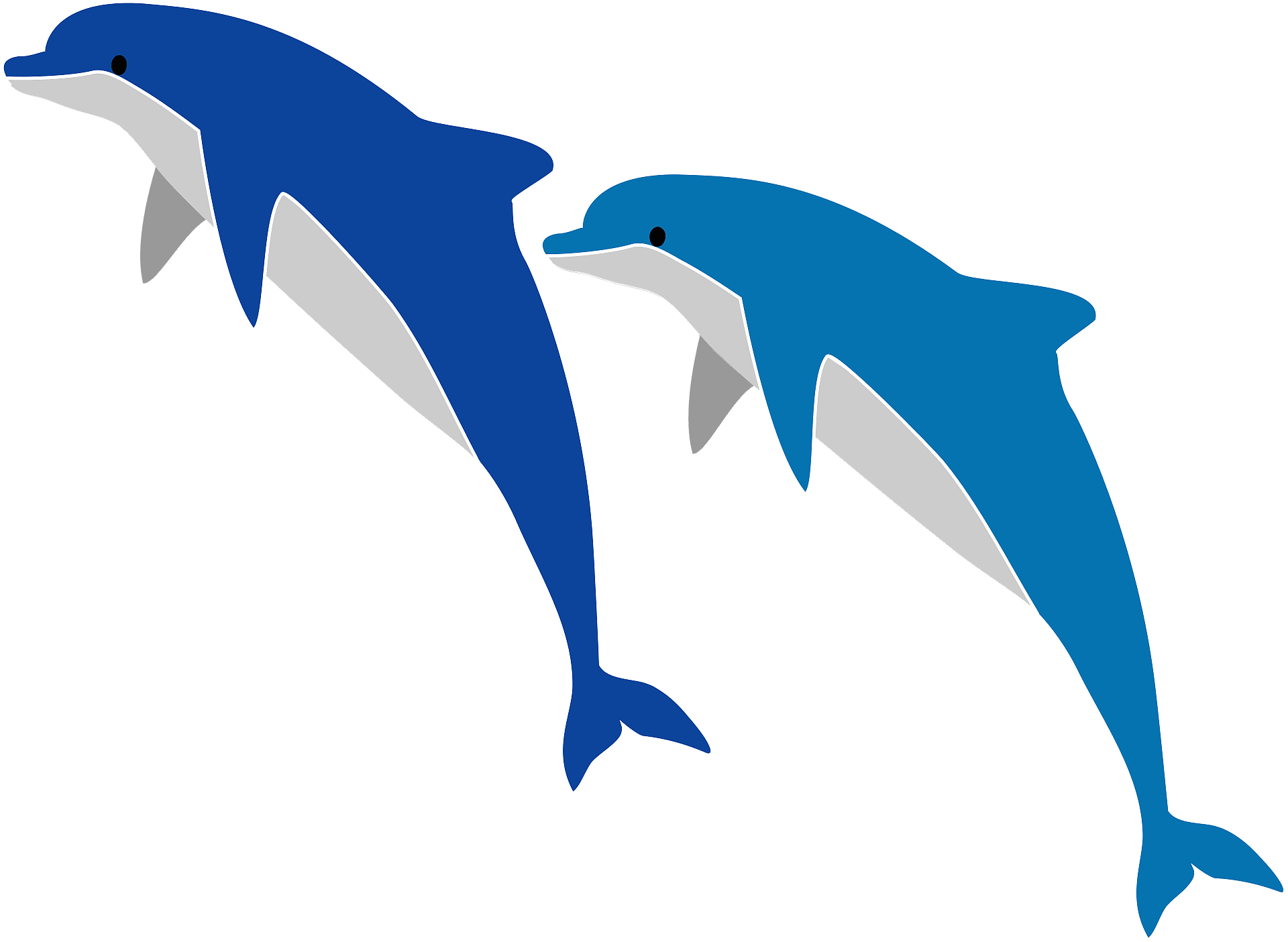 Вектор прыжки дельфина PNG фоновое изображение