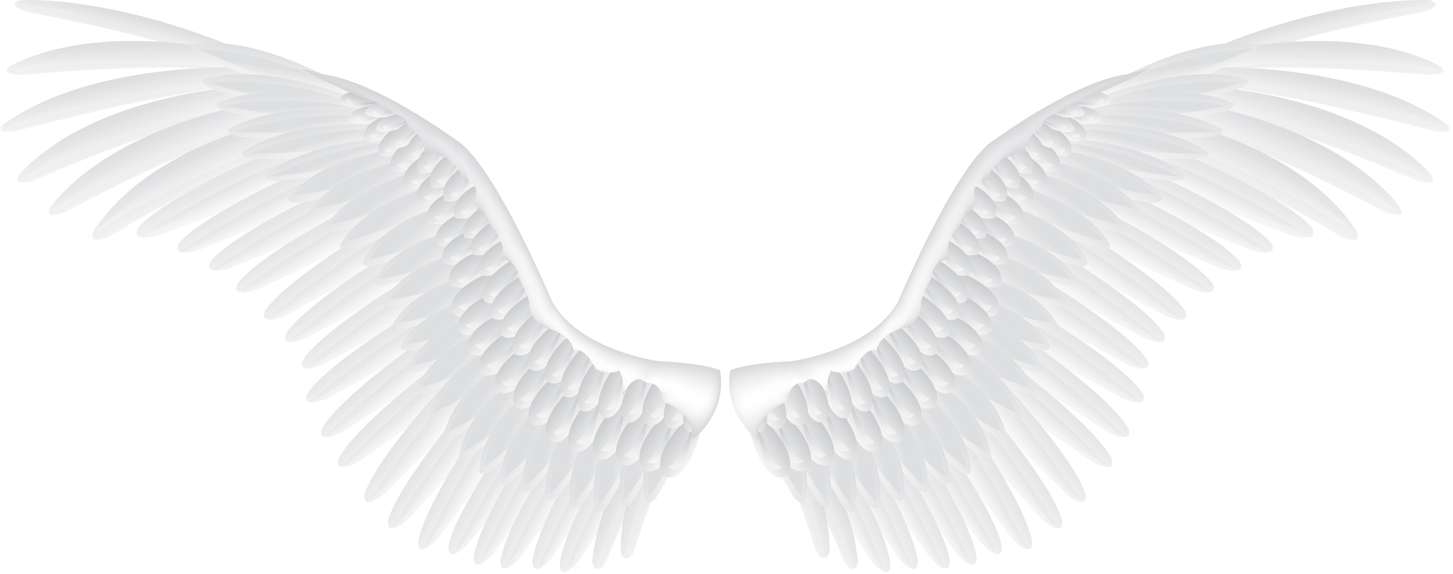 White Angel Wings PNG ดาวน์โหลดรูปภาพ