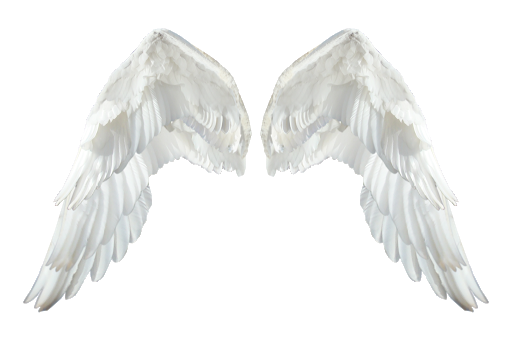 Witte engelenvleugels PNG-Afbeelding