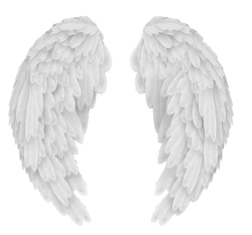 White Angel Wings Transparent Image