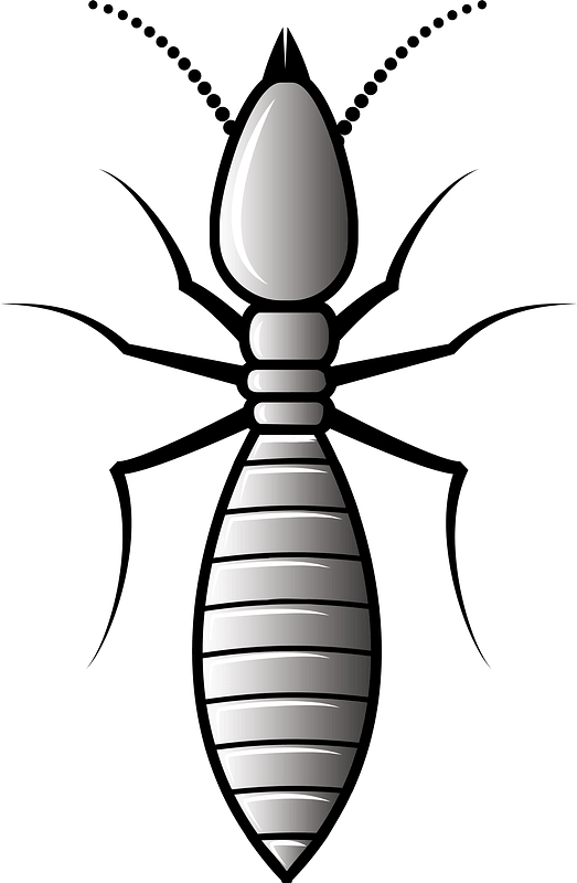 ANT TERMITE PNG Imagen de alta calidad